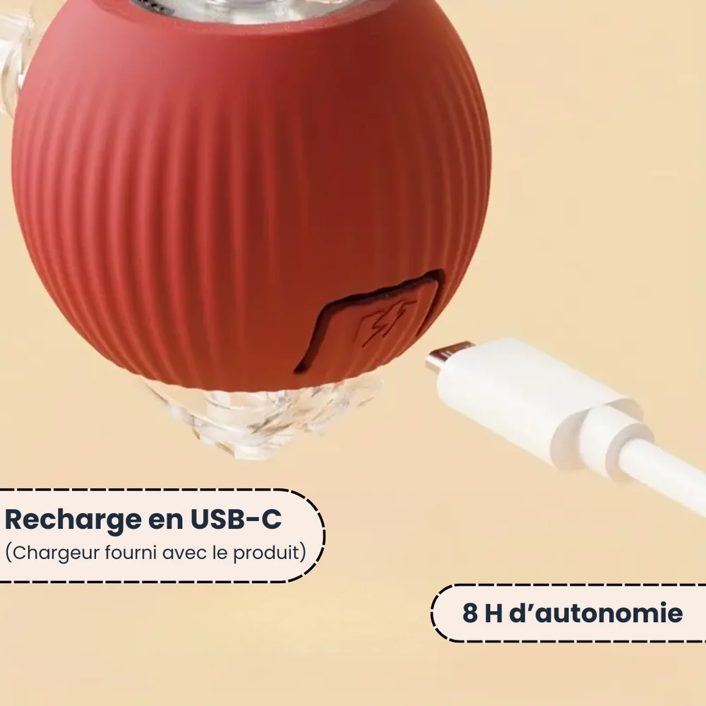 PawQuest – Interactive Toy for Cats