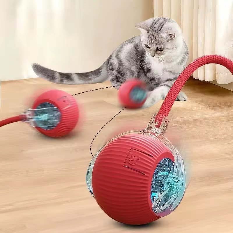 PawQuest – Interactive Toy for Cats