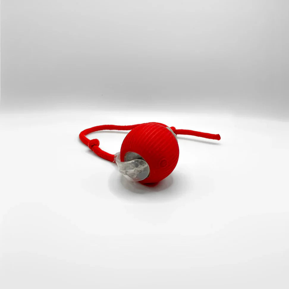 PawQuest – Interactive Toy for Cats