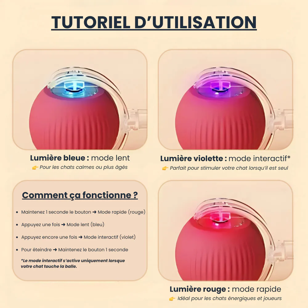 PawQuest – Interactive Toy for Cats